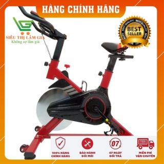 Xe đạp tập thể dục trong nhà Hayashi Hbike 3003